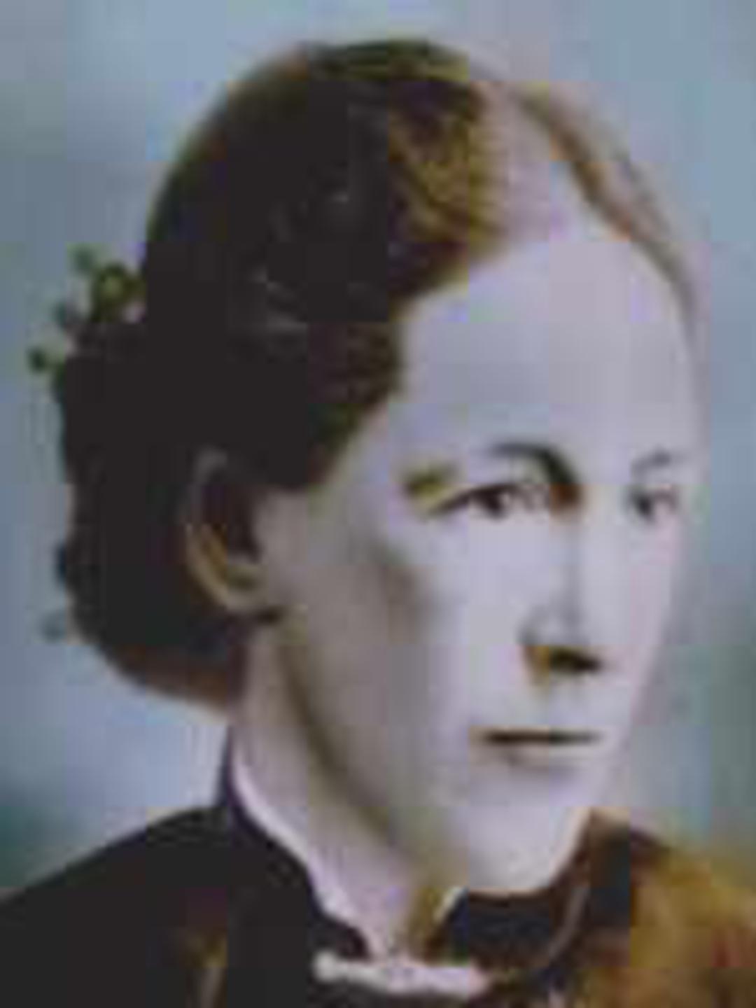 Mariam Sanders (1852 - 1896) Profile